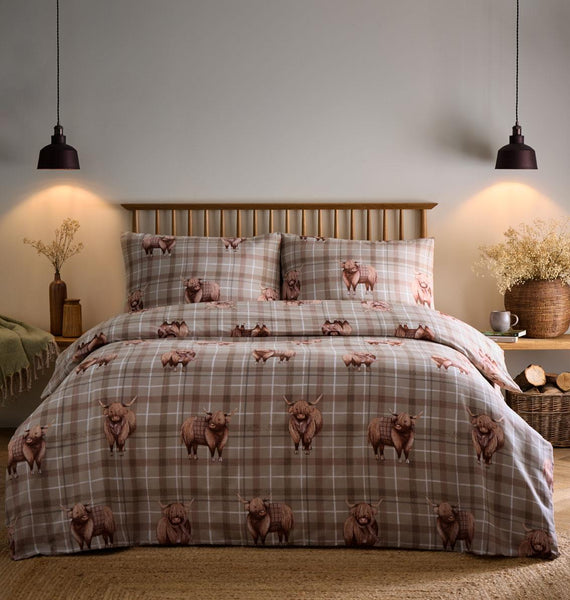 highland cow_single